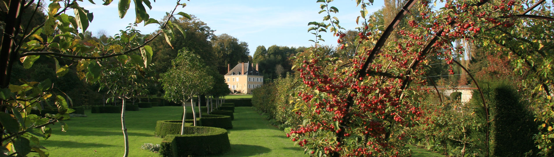 jardin plessis sasnieres