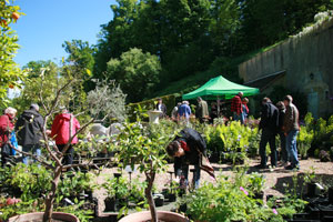 événements Jardin Sasnieres