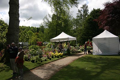 Jardin en fête